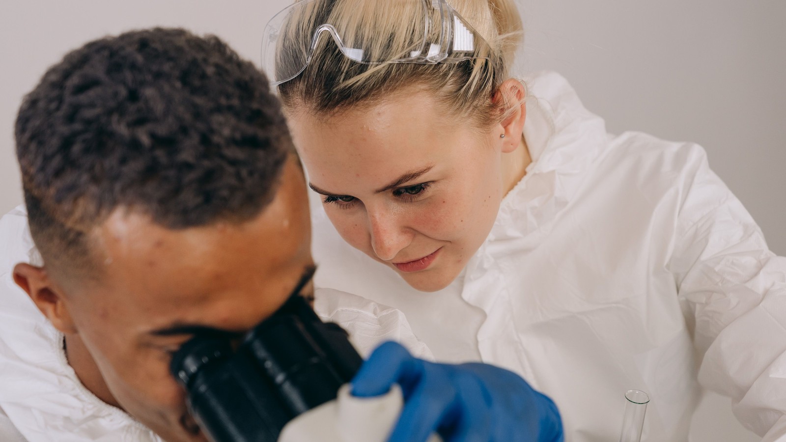 Scientists working in a laboratory
